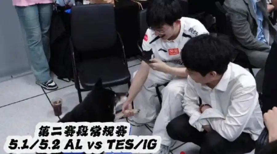 AL武汉Vlog引热议：逆境翻盘靠的是什么？这套版本答案你必须学会